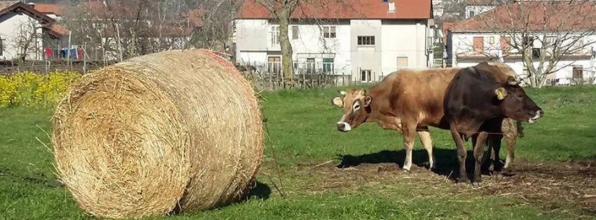 Гостьовий будинок Agriturismo Sentiero Dei Sapori Аджерола Екстер'єр фото