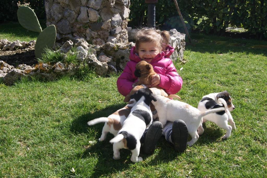 Гостьовий будинок Agriturismo Sentiero Dei Sapori Аджерола Екстер'єр фото