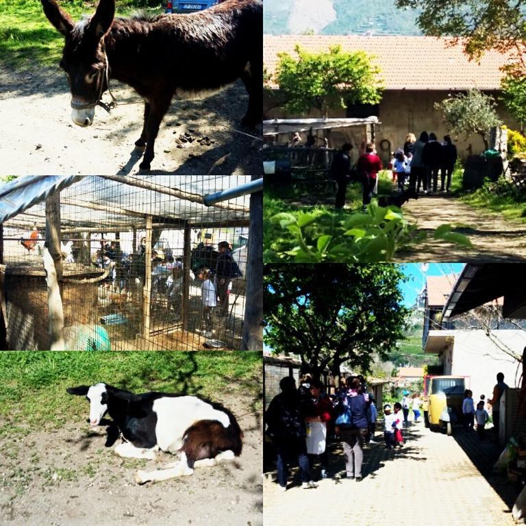 Гостьовий будинок Agriturismo Sentiero Dei Sapori Аджерола Екстер'єр фото
